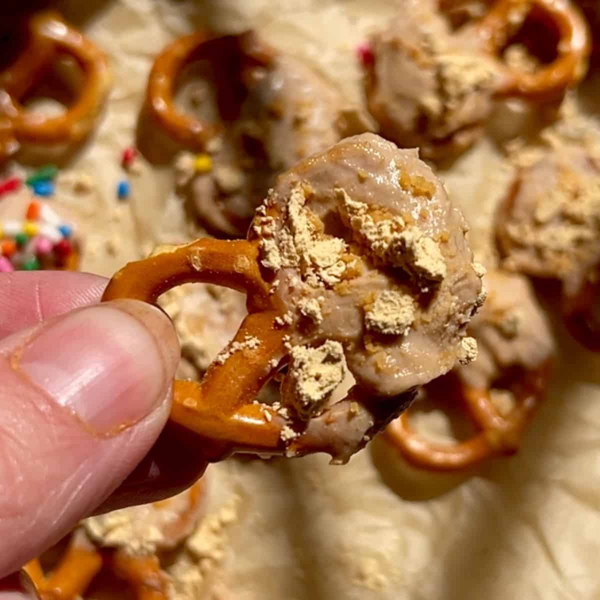 peanut butter chocolate yogurt pretzels