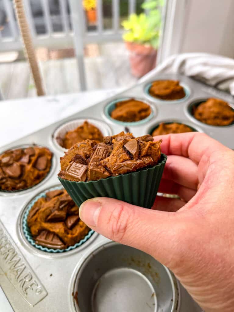 gluten free pumpkin chocolate chip muffins