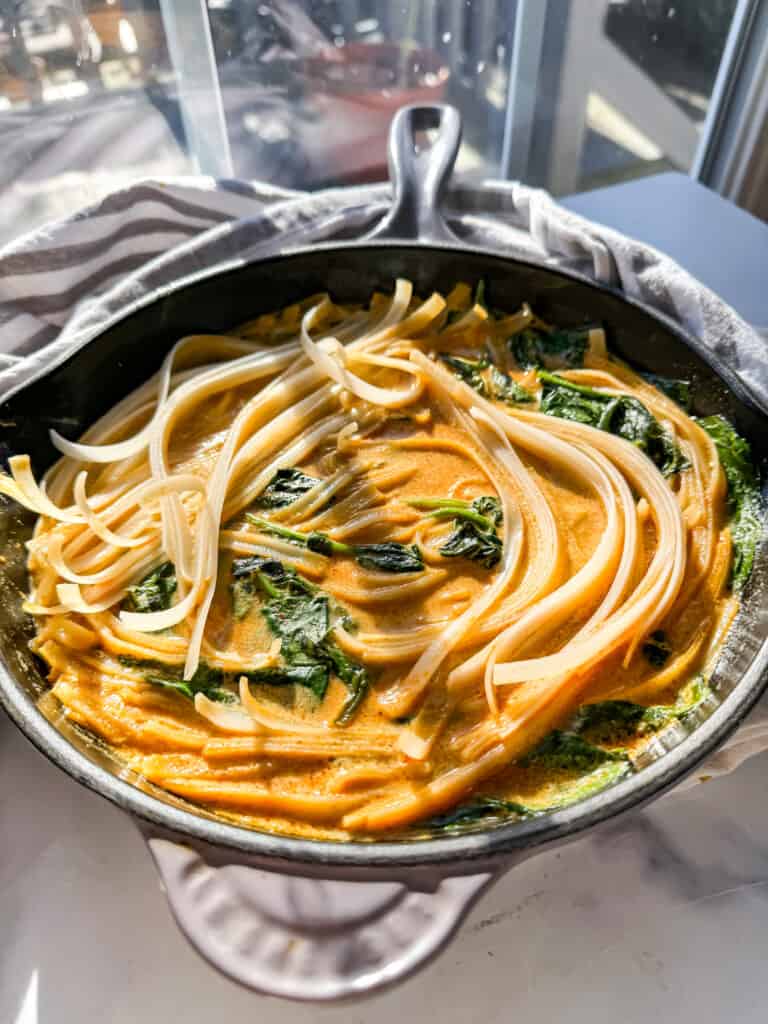 gluten free dairy free coconut curry noodles