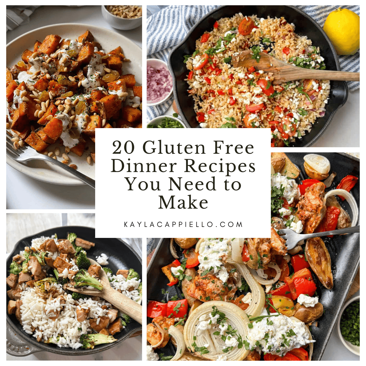 Gluten Free Dinner Recipes