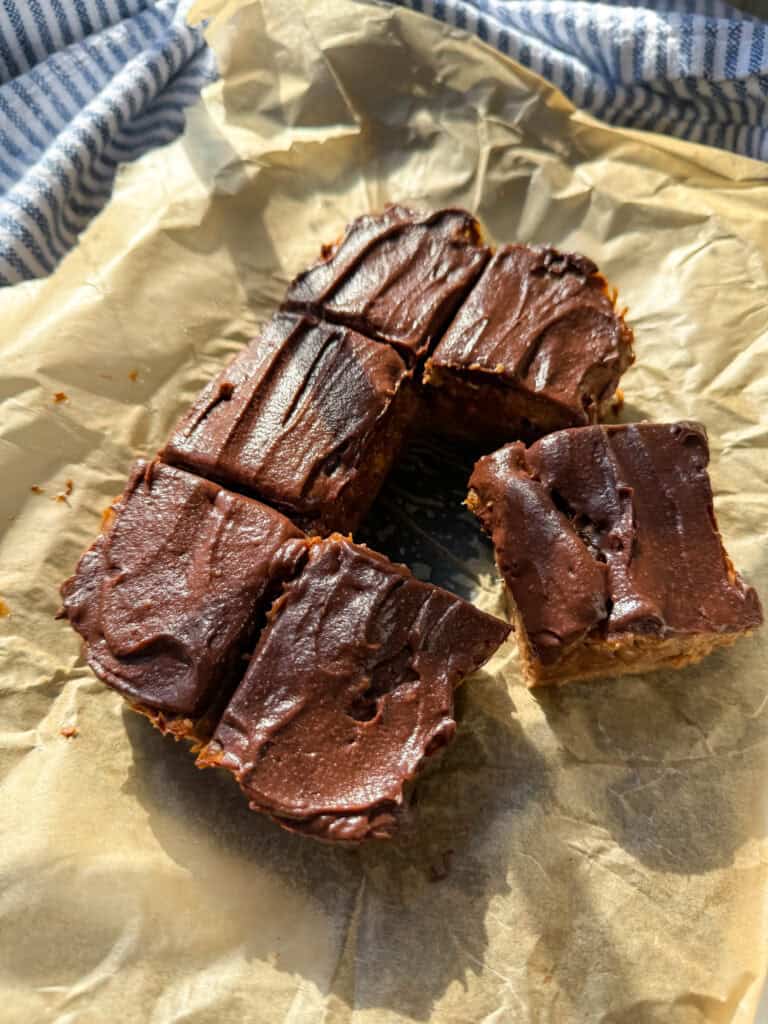 Dairy and Gluten Free Chocolate Brownies