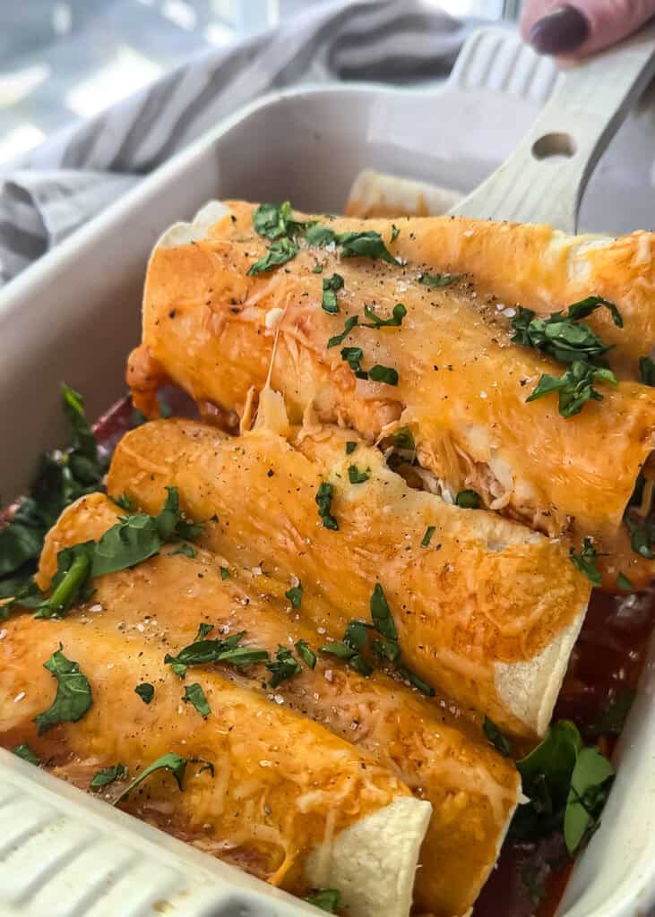 gluten free chicken enchiladas