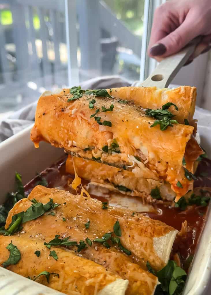 gluten free chicken enchiladas