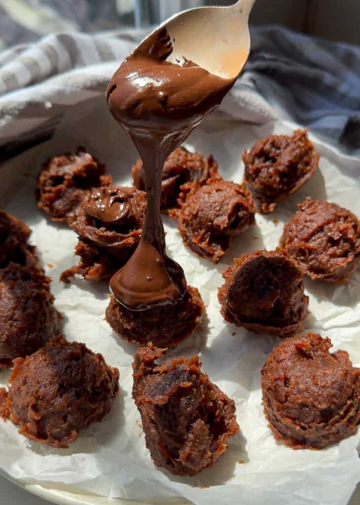 Medjool Date Protein Balls (Gluten Free)